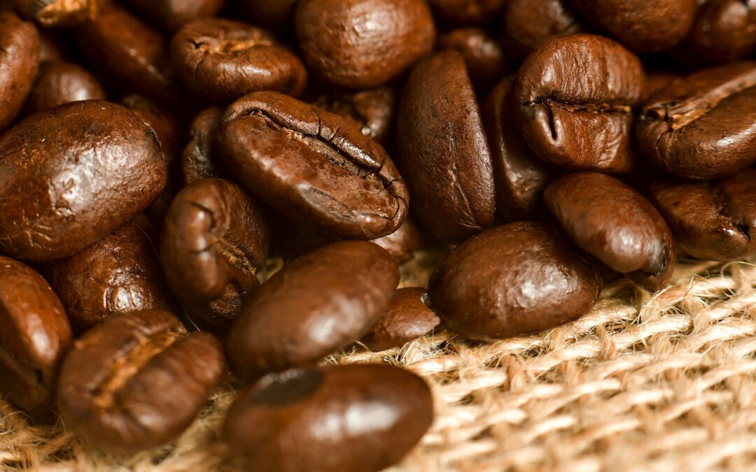 The Impact of Waste Coffee Grounds