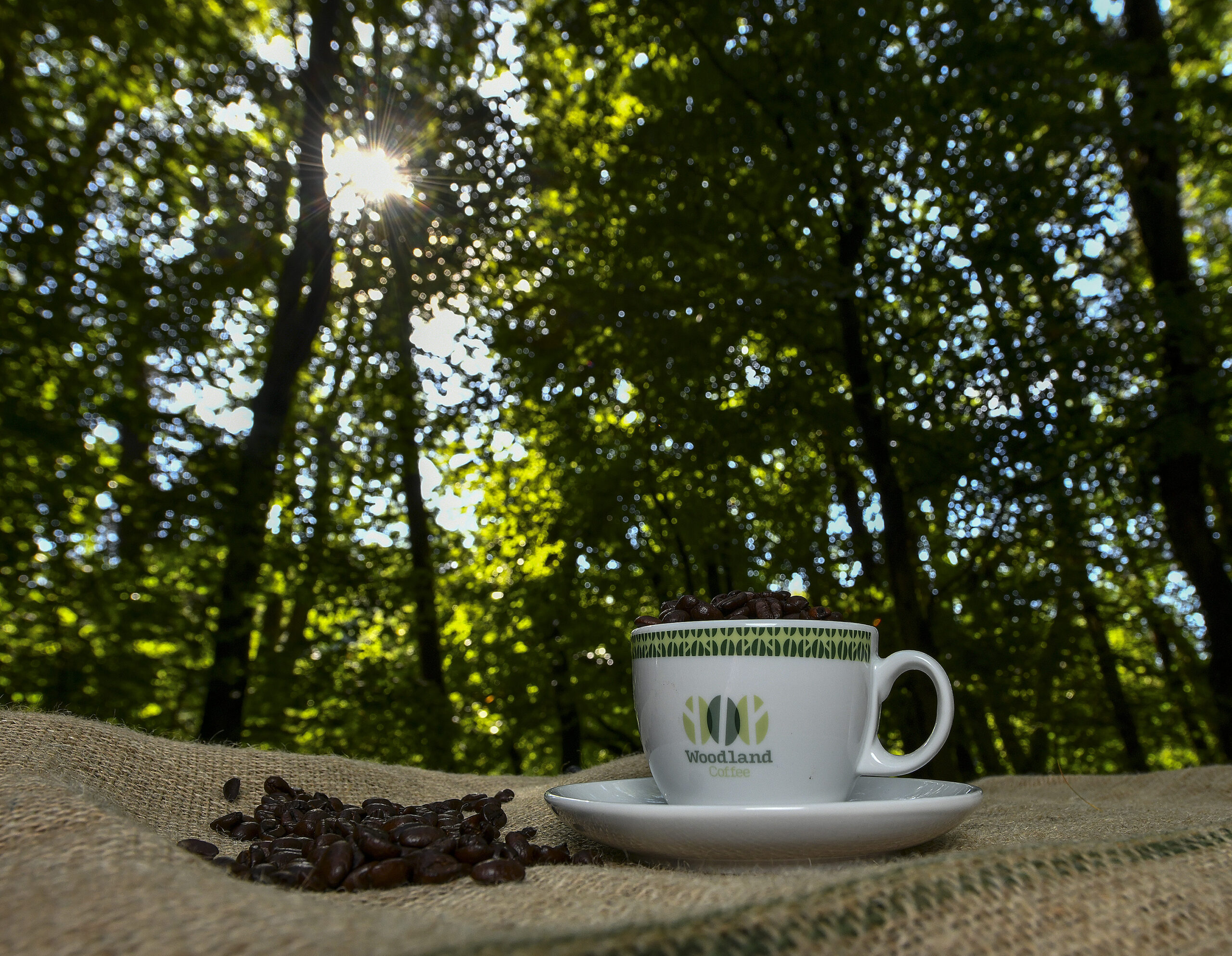 Woodland Coffee in woods