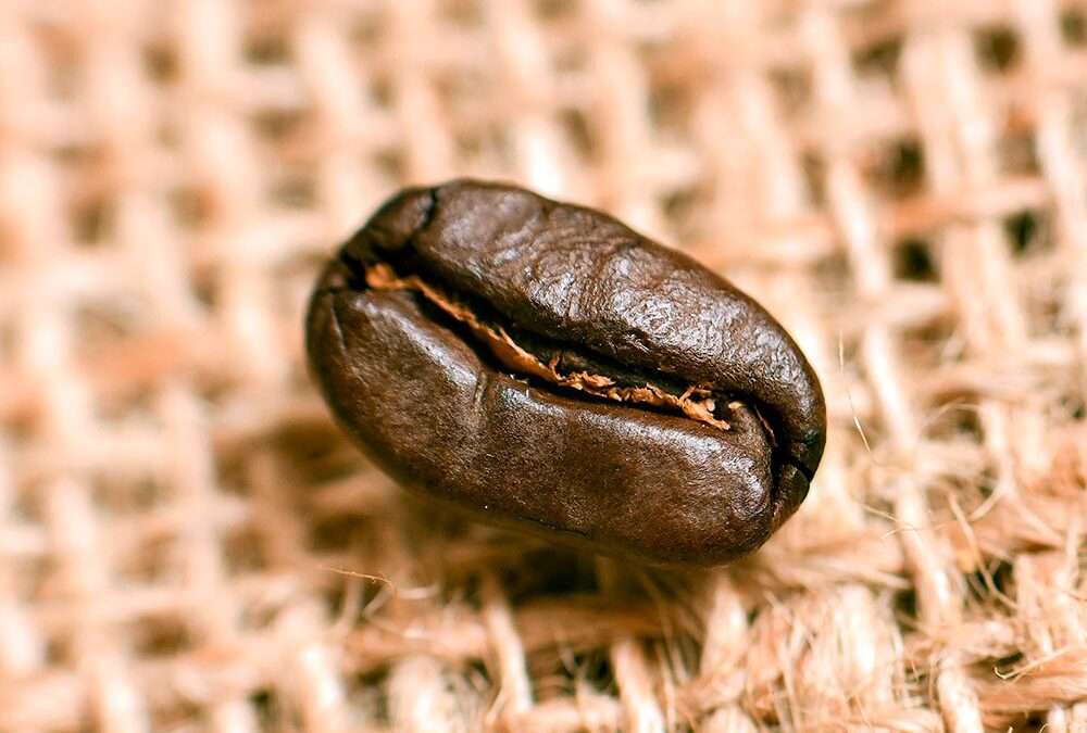 Extracting the perfect coffee flavour