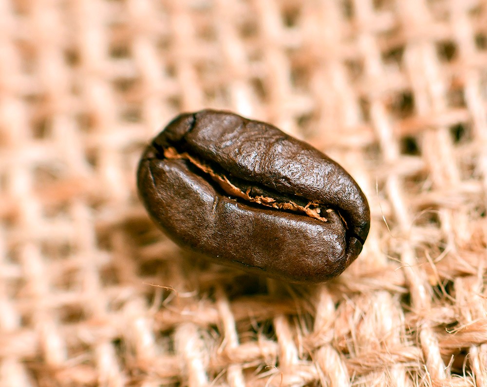 Woodland Coffee Bean